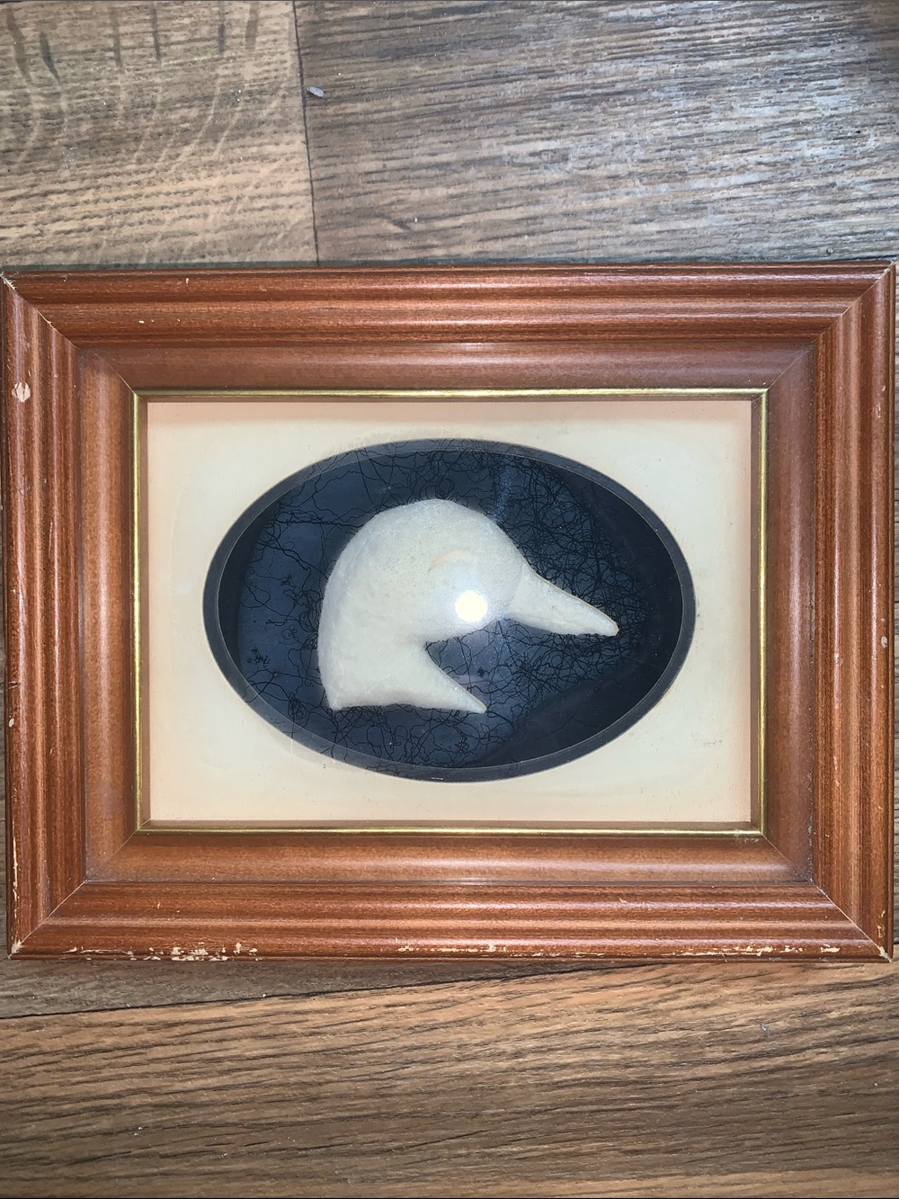 🇨🇦Jessie Wastasticoot signed IndigenousWall Art Cream Duck Silhouette/Black Oval